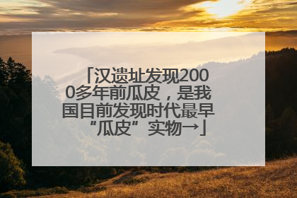 汉遗址发现2000多年前瓜皮，是我国目前发现时代最早“瓜皮”实物→