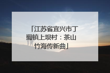 江苏省宜兴市丁蜀镇上坝村：茶山竹海传新曲