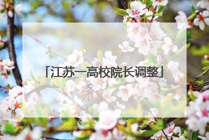 江苏一高校院长调整