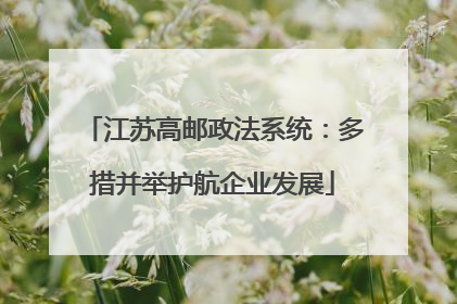 江苏高邮政法系统：多措并举护航企业发展