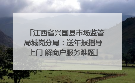 江西省兴国县市场监管局城岗分局：送年报指导上门 解商户服务难题