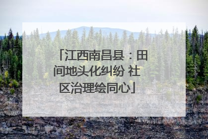 江西南昌县：田间地头化纠纷 社区治理绘同心