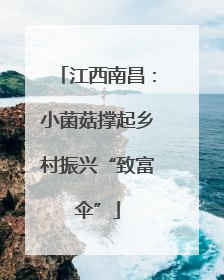 江西南昌：小菌菇撑起乡村振兴“致富伞”