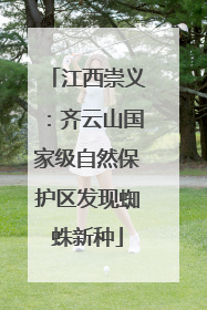 江西崇义：齐云山国家级自然保护区发现蜘蛛新种