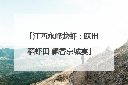 江西永修龙虾：跃出稻虾田 飘香京城宴