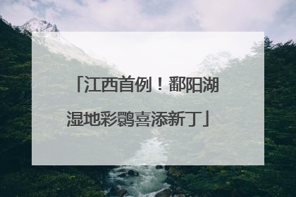 江西首例！鄱阳湖湿地彩鹮喜添新丁