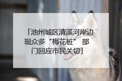 池州城区清溪河岸边现众多“梅花桩” 部门回应市民关切