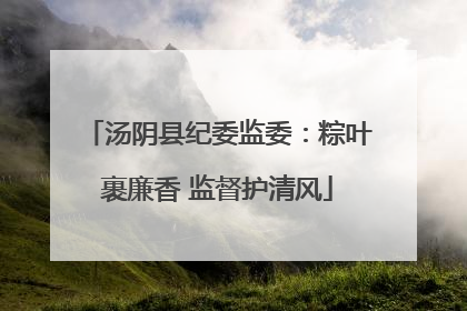 汤阴县纪委监委：粽叶裹廉香 监督护清风