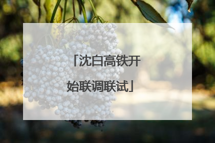 沈白高铁开始联调联试