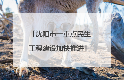 沈阳市一重点民生工程建设加快推进