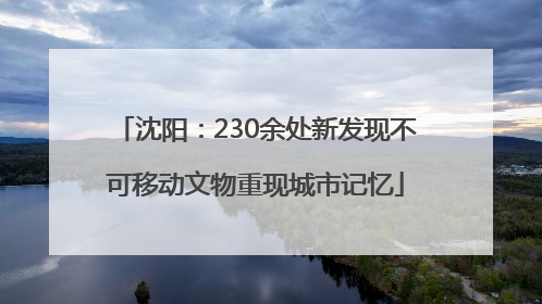 沈阳：230余处新发现不可移动文物重现城市记忆