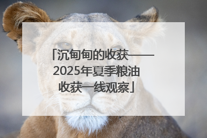沉甸甸的收获——2025年夏季粮油收获一线观察