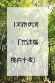 河南唐河：千亩油蟠桃喜丰收