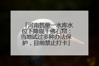 河南鹤壁一水库水位下降现千佛石窟：当地试过多种办法保护，目前禁止打卡