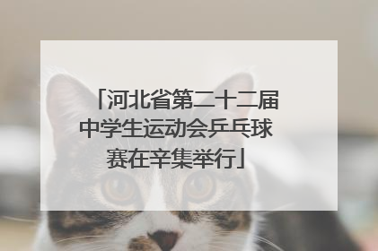 河北省第二十二届中学生运动会乒乓球赛在辛集举行