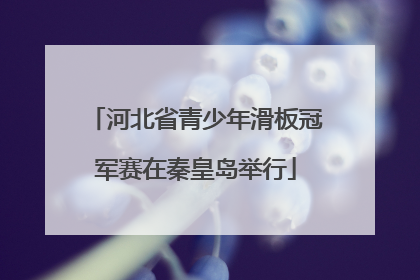 河北省青少年滑板冠军赛在秦皇岛举行