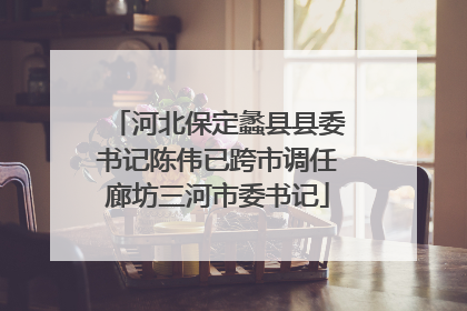 河北保定蠡县县委书记陈伟已跨市调任廊坊三河市委书记