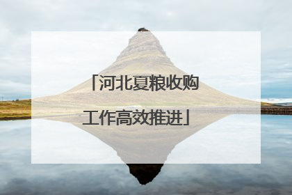 河北夏粮收购工作高效推进