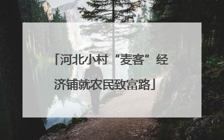 河北小村“麦客”经济铺就农民致富路