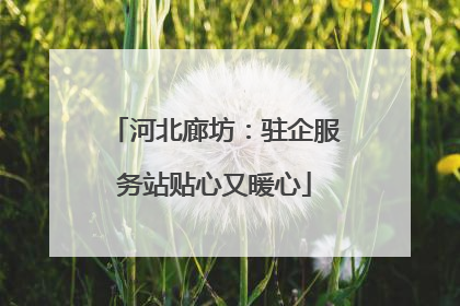 河北廊坊：驻企服务站贴心又暖心