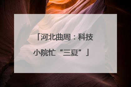 河北曲周：科技小院忙“三夏”