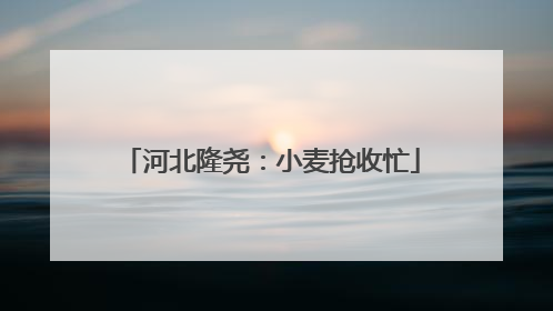 河北隆尧：小麦抢收忙