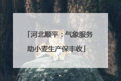河北顺平：气象服务助小麦生产保丰收