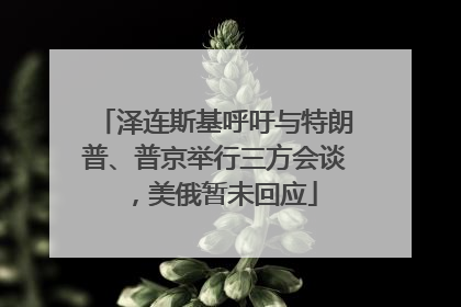泽连斯基呼吁与特朗普、普京举行三方会谈，美俄暂未回应