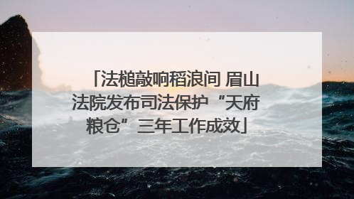 法槌敲响稻浪间 眉山法院发布司法保护“天府粮仓”三年工作成效