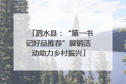 泗水县：“第一书记好品推荐”展销活动助力乡村振兴