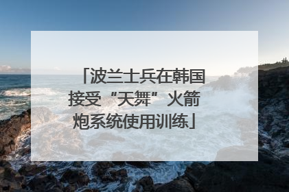 波兰士兵在韩国接受“天舞”火箭炮系统使用训练