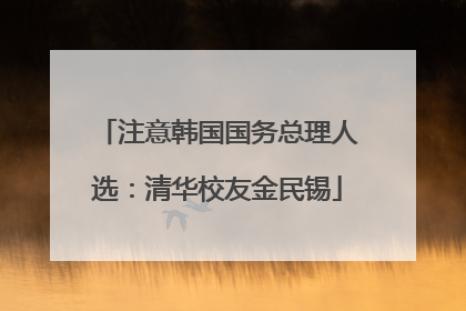 注意韩国国务总理人选：清华校友金民锡