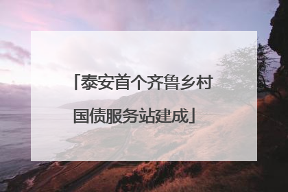 泰安首个齐鲁乡村国债服务站建成