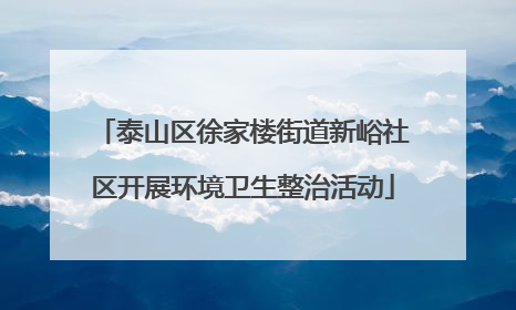 泰山区徐家楼街道新峪社区开展环境卫生整治活动