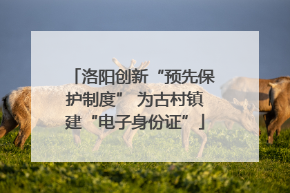 洛阳创新“预先保护制度” 为古村镇建“电子身份证”