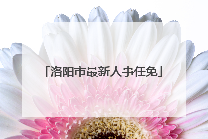 洛阳市最新人事任免