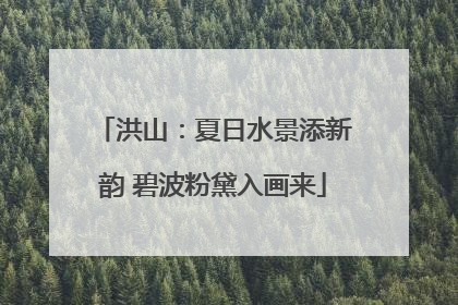 洪山：夏日水景添新韵 碧波粉黛入画来