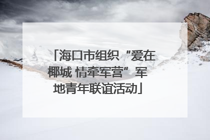海口市组织“爱在椰城 情牵军营”军地青年联谊活动