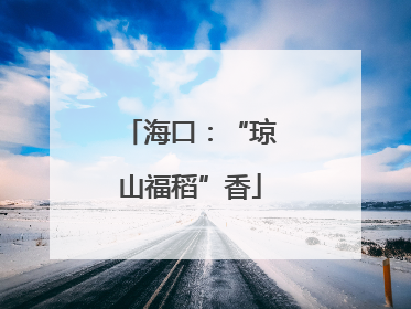 海口：“琼山福稻”香