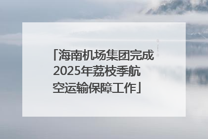 海南机场集团完成2025年荔枝季航空运输保障工作