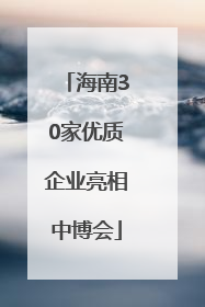 海南30家优质企业亮相中博会