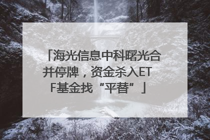 海光信息中科曙光合并停牌，资金杀入ETF基金找“平替”