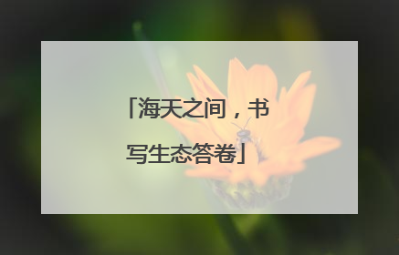 海天之间，书写生态答卷