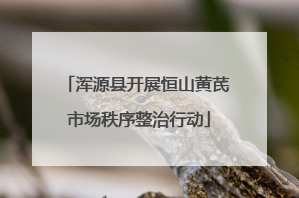 浑源县开展恒山黄芪市场秩序整治行动