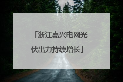 浙江嘉兴电网光伏出力持续增长