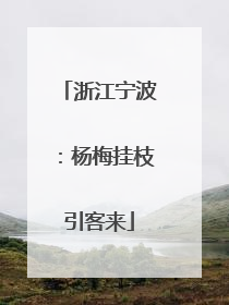 浙江宁波：杨梅挂枝引客来