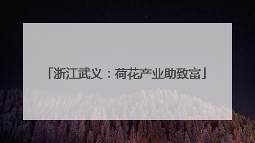 浙江武义：荷花产业助致富