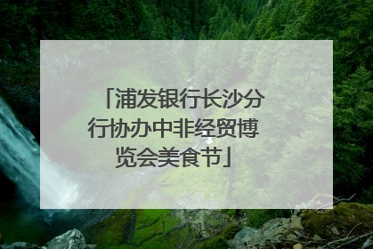 浦发银行长沙分行协办中非经贸博览会美食节