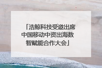 浩鲸科技受邀出席中国移动中资出海数智赋能合作大会