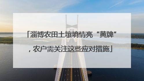 淄博农田土壤墒情亮“黄牌”，农户需关注这些应对措施